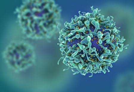 EMA aprueba primeras terapias celulares CAR T para cánceres hematológicos